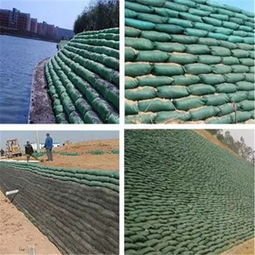 木兰护坡生态袋带草种用于边坡绿化防护定制生产
